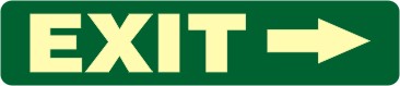 E 229